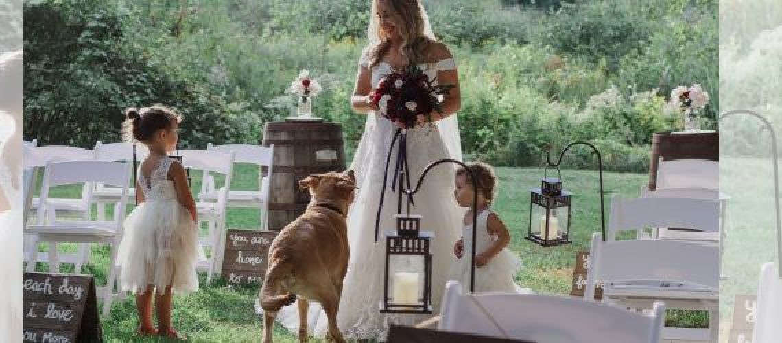 Diseño sin título (1)